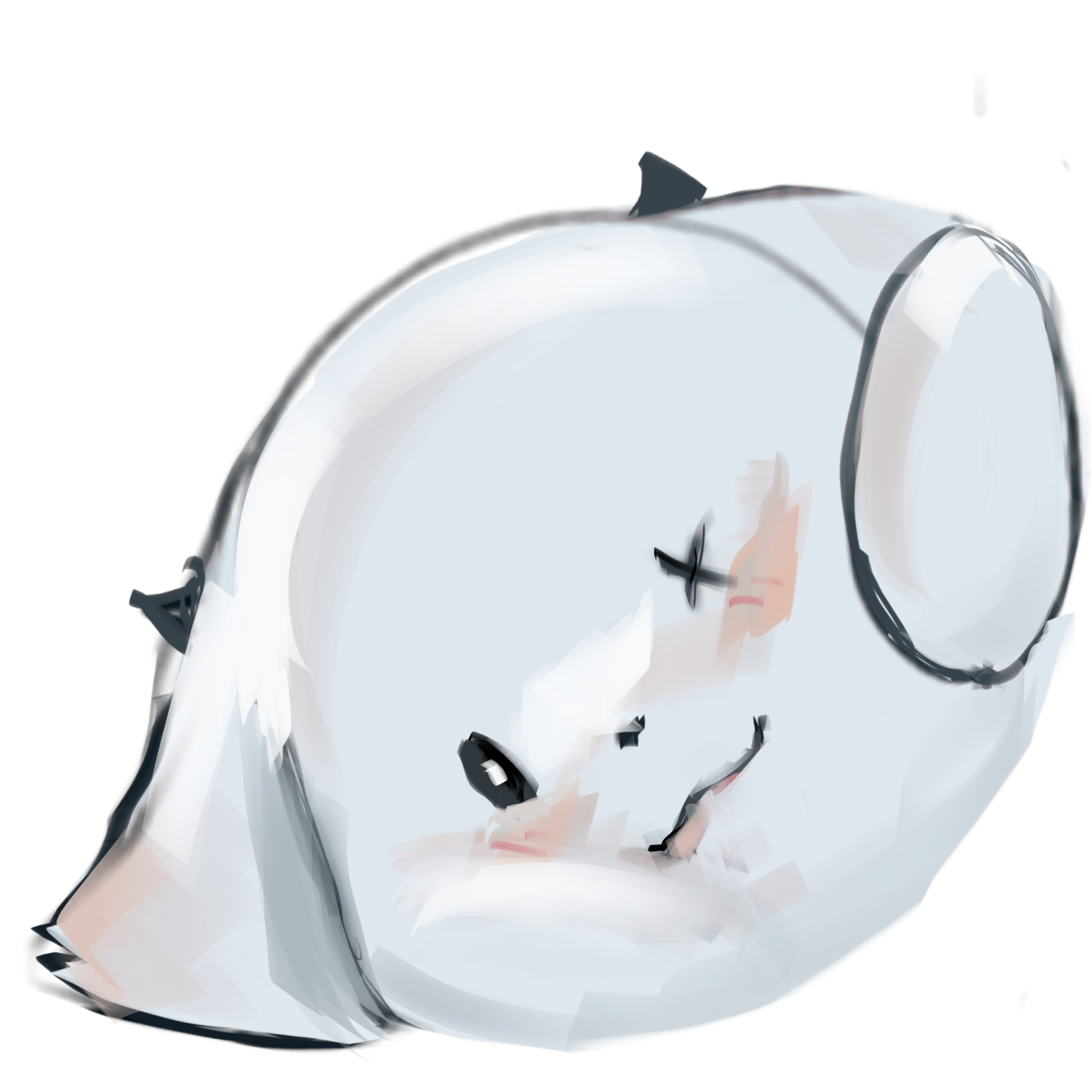 AocivA bear profile